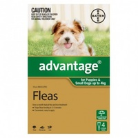 Advantage Dog Flea Treatment 6 Pack