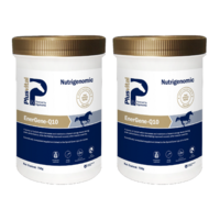 Plusvital EnerGene Q10 - 1.5Kg Horse Health Supplement
