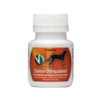 Vetalogica Canine Omegaderm Dog Allergy Supplement