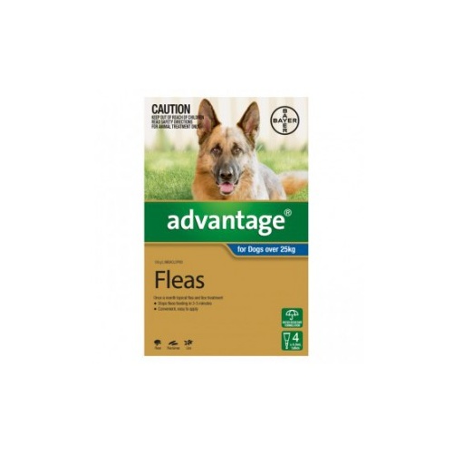 Advantage Dog Flea Treatment 6 Pack [ Size:Xlg over 25kg ]