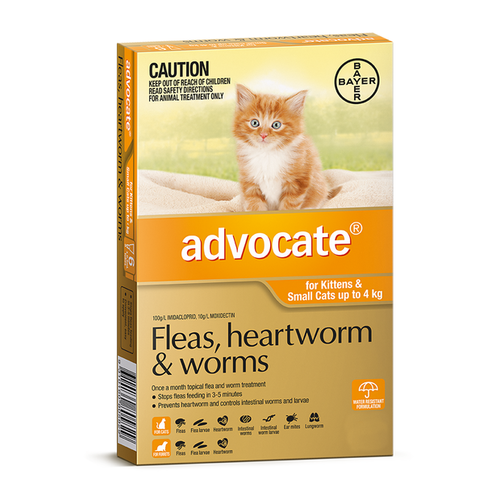 Advocate for Cats [ Size:Under 4kg - orange- 6 Pack ]