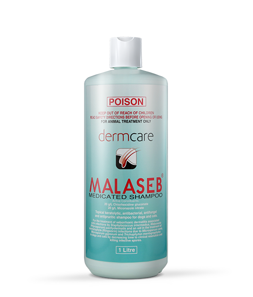 Malaseb Medicated Shampoo
