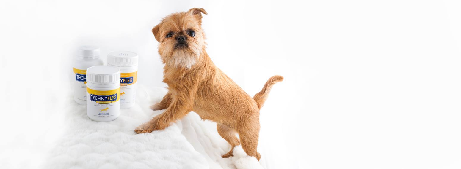 Technyflex For Joints