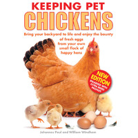 Keeping Pet Chickens