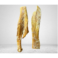 Beef Tendons 10 Pieces