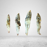 Anchovy Forage Fish 1kg