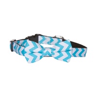 Hamish McBeth Blue Chevron Bowtie Dog Collar
