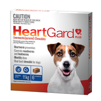 Heartgard Plus Chewables 6 pack