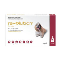 Revolution Dog (10-20kg) Large Red [ Size:6 Pack ]