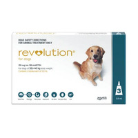 Revolution Dog (20-40kg) X-Large Teal [ Size:6 Pack ]