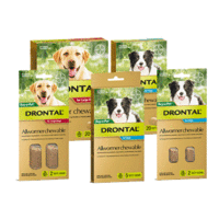 Drontal All Wormer Chewables for dogs