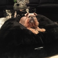 Miyow & Barkley Black Panther Faux Fur Dog Bed