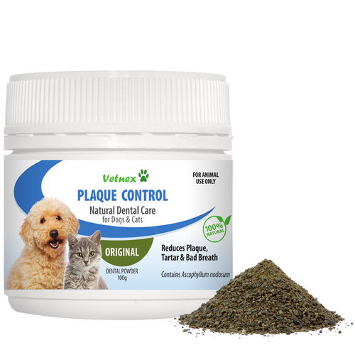 VETNEX PLAQUE CONTROL DENTAL POWDER FOR DOGS & CATS 100G Original Flavour