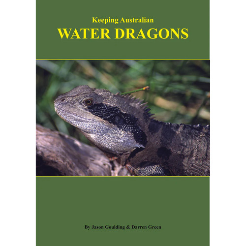 Keeping Australian Water Dragons