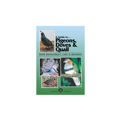 A Guide to Pigeons, Doves and Quail