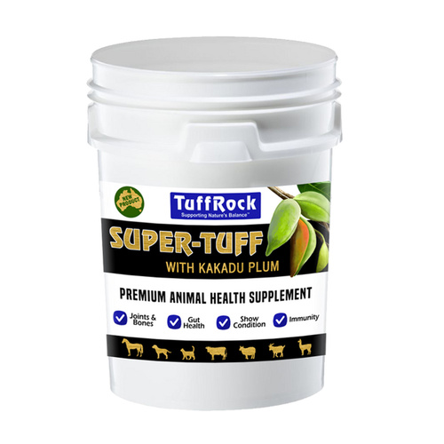 Tuffrock Super-Tuff [Size: 2.5kg]