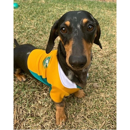 Wallabies Dog Jumper Size 3