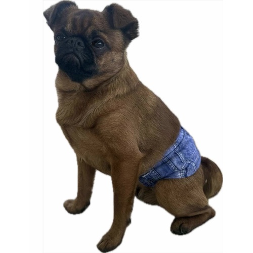 Lil Cracker Belly Bands - Male Wraps Extra Small