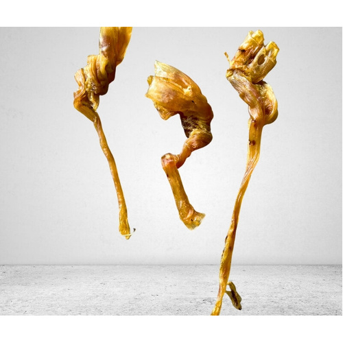 Naturalicious Beef Tendon 1kg