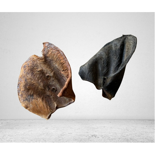 Beef Wagyu Ears With Hair 50 Pieces