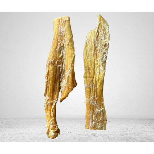 Beef Tendons 10 Pieces