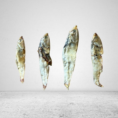 Anchovy Forage Fish 1kg