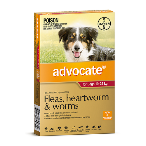 Advocate Dog [ Size:10-25kg Large 3's ]