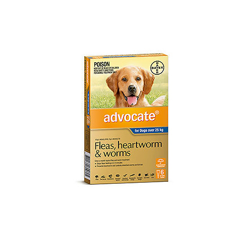 Advocate Dog [ Size:Over 25kg XL 6's ]