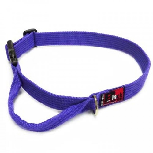 Black Dog Agility/Flyball Collar [Colour: Black]