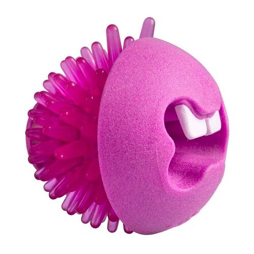 Rogz Fred Treat Ball [Colour: Pink]