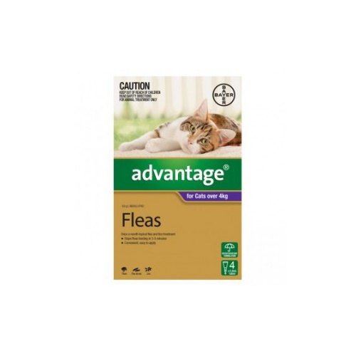 Advantage Cat [ Size:Over 4kg - 4 Pack ]