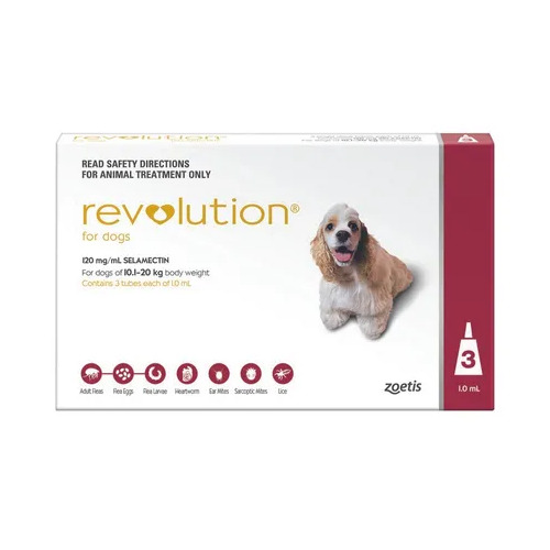 Revolution Dog (10-20kg) Large Red [ Size:6 Pack ]