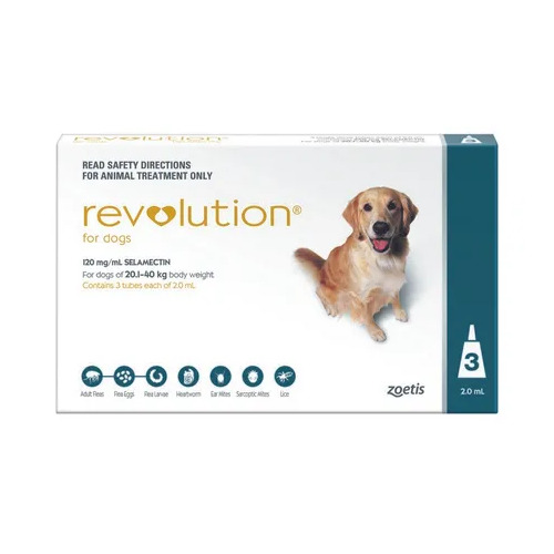 Revolution Dog (20-40kg) X-Large Teal [ Size:3 Pack ]