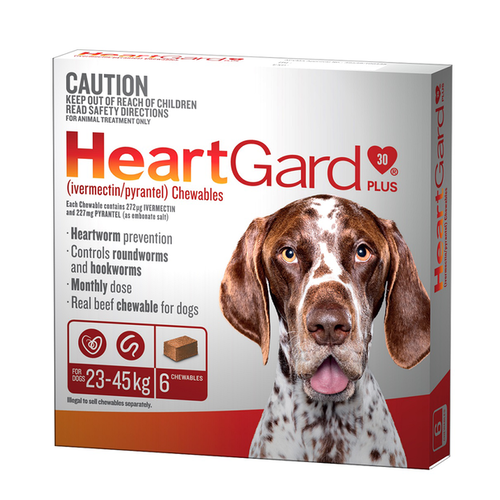 Heartgard Plus Chewables 6 pack [ Size:23 - 45kg ]