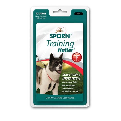 Sporn Training Halter  [ Size: X Large ]